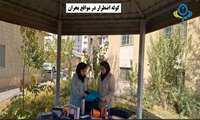 کوله اضطرار در موقعیت بحران